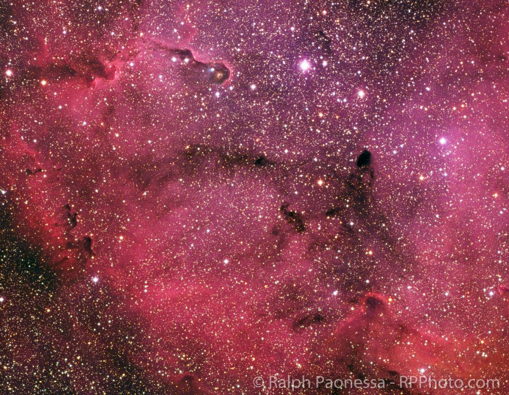 IC 1396 & Elephant